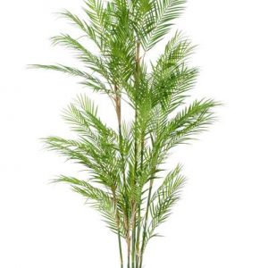 Kunstpflanze - Chamaedorea Elegans - Bergpalme - 180 cm