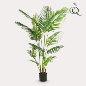 Kunstpflanze - Howea Forsteriana - 160 cm
