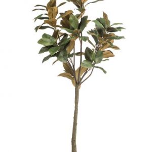 Kunstpflanze - Magnolia Grandiflora - 150 cm