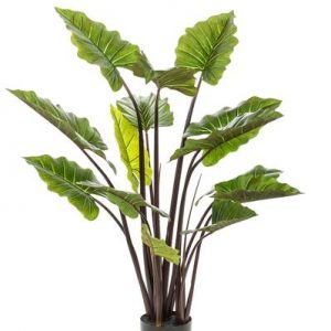 Kunstpflanze - Colocasia Pink China - Elefantenohr - 130 cm