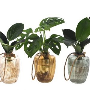 LOFE | Intenz Mix in Waltz Glas - 3 Stücke - Ø7cm - ↕25cm