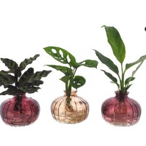 Intenz Mix in Nela 3 Farben - 3 Stücke - Ø7cm - ↕25cm